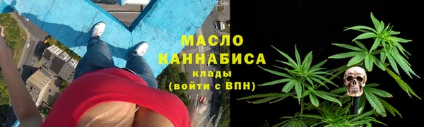 шишки Инта