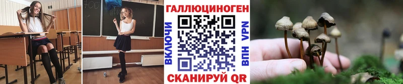 Купить где  Набережные Челны  Псилоцибиновые грибы GOLDEN TEACHER 